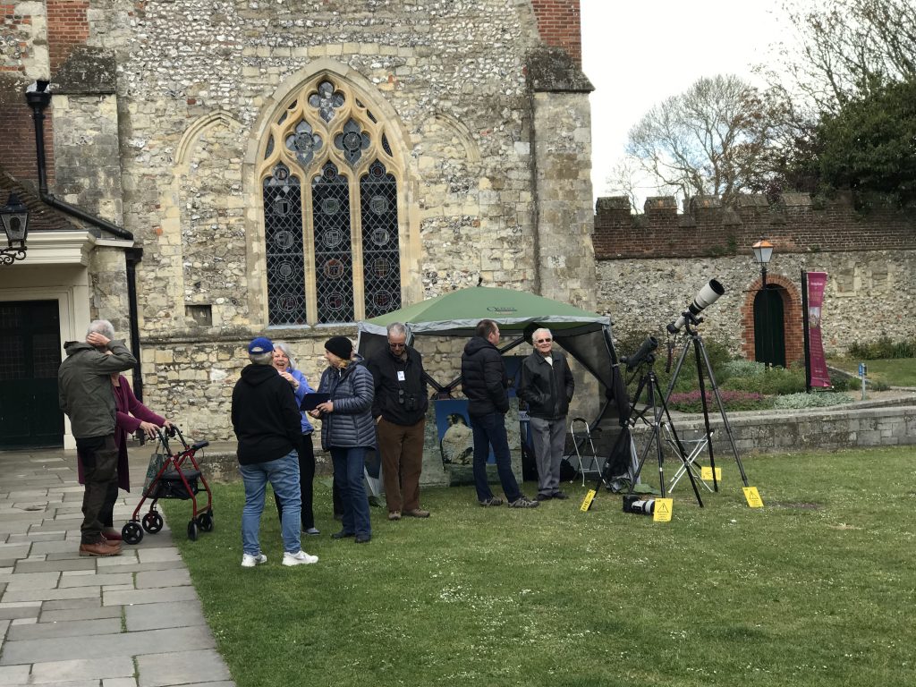 Open day Chichester Peregrines