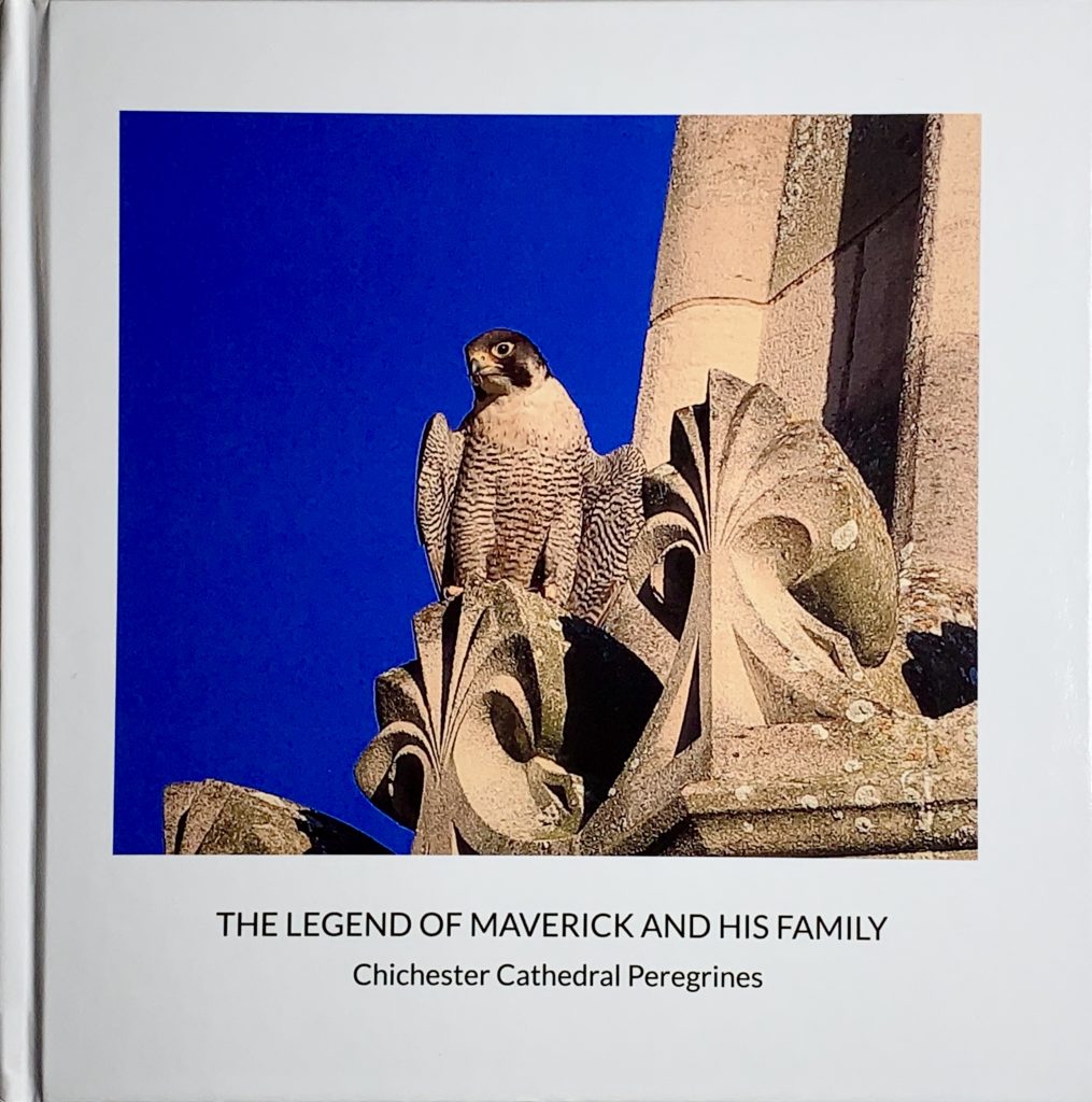 Chichester Peregrines Book