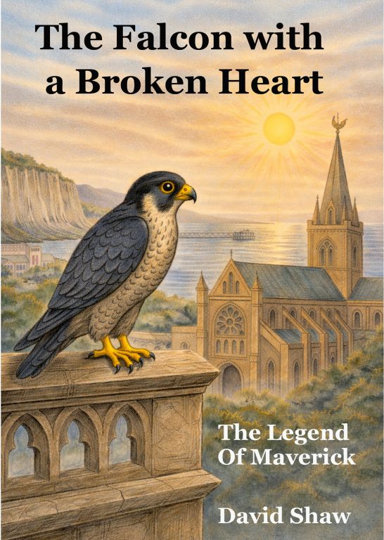 Chichester Peregrines The Falcon with a Broken Heart